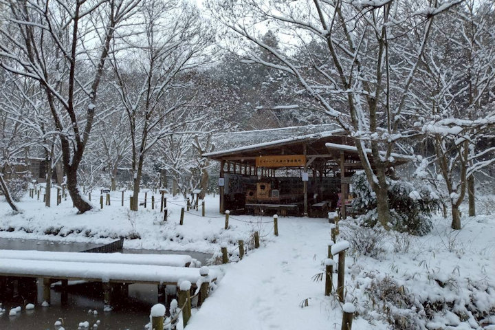 �V�_�̗���i�F